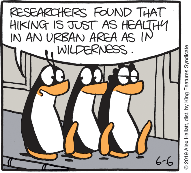 Cartoon OCR: RESEARCHERS FOUND THAT HIKING IS JUST AS HEALTHY IN AN URBAN AREA AS IN WILDERNESS. 6-6 © 2019 Alex Hallattdist. by King Features Syndicate RESEARCHERS FOUND THAT HIKING IS JUST AS HEALTHY IN AN URBAN AREA AS IN WILDERNESS. 6-6 © 2019 Alex Hallattdist. by King Features Syndicate