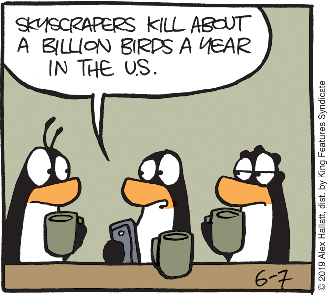 Clip art OCR: SKYSCRAPERS KILL ABOUT A BILLION BIRDS A YEAR IN THE US. 6-7 © 2019 Alex Hallattdist. by King Features Syndicate SKYSCRAPERS KILL ABOUT A BILLION BIRDS A YEAR IN THE US. 6-7 © 2019 Alex Hallattdist. by King Features Syndicate