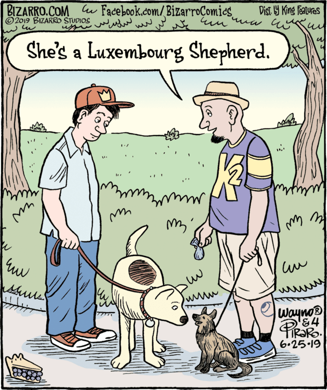 Illustration OCR: BIZARRO.COM Ce Facebook.com/BizarroComics ©2019 BIZARRO STUDIOS w Dist. 9 King Features She's a Luxembourg Shepherd. ww Wayno 6.25.19 BIZARRO.COM Ce Facebook.com/BizarroComics ©2019 BIZARRO STUDIOS w Dist. 9 King Features She's a Luxembourg Shepherd. ww Wayno 6.25.19