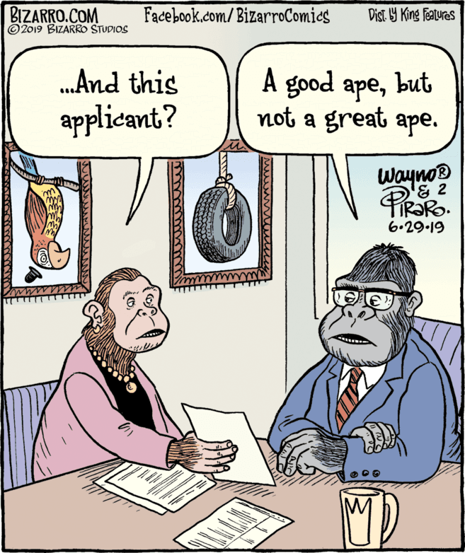 Cartoon OCR: BIZARRO.COM © 2019 BIZARRO STUDIOS Facebook.com/BizarroComies Dist Y King Features .And this A good but applicant? apenot a great ape. Wayno® FIR?RO. 6.29.19 BIZARRO.COM © 2019 BIZARRO STUDIOS Facebook.com/BizarroComies Dist Y King Features .And this A good but applicant? apenot a great ape. Wayno® FIR?RO. 6.29.19