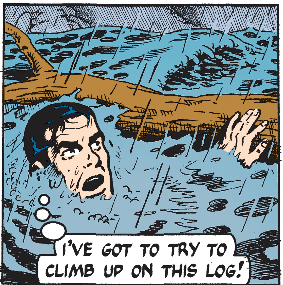Visual arts OCR: I'VE GOT TO TRY TO CLIMB UP ON THIS LOG! I'VE GOT TO TRY TO CLIMB UP ON THIS LOG!