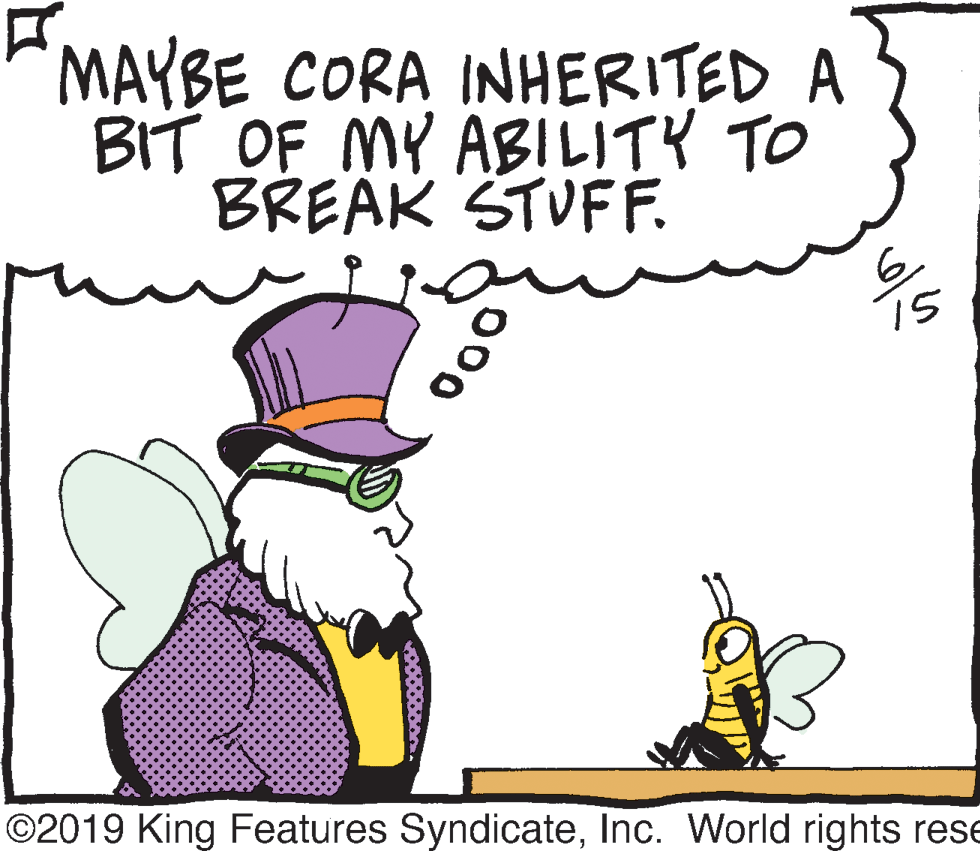 Graphics OCR: MAYBE CORA INHERITED A BIT OF MY ABILITY TO BREAK STVFF. 15 ©2019 King Features SyndicateInc. World rights rese 00 MAYBE CORA INHERITED A BIT OF MY ABILITY TO BREAK STVFF. 15 ©2019 King Features SyndicateInc. World rights rese 00