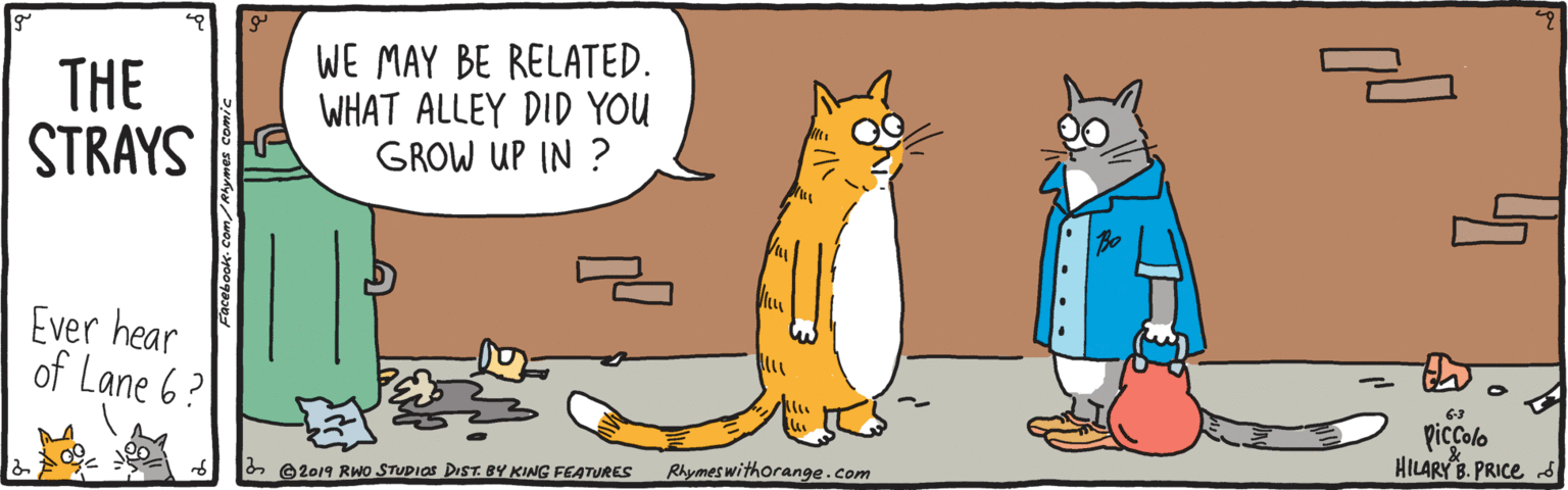 Snout OCR: THE STRAYS WE MAY BE RELATED. WHAT ALLEY DID YOU GROW UP IN ? Ever hear of Lane 6? piccolo HILARY B. PRICE Rhymes withorange.com & O2019 RWo STUDIOS DiST. BY KING FEATURES THE STRAYS WE MAY BE RELATED. WHAT ALLEY DID YOU GROW UP IN ? Ever hear of Lane 6? piccolo HILARY B. PRICE Rhymes withorange.com & O2019 RWo STUDIOS DiST. BY KING FEATURES