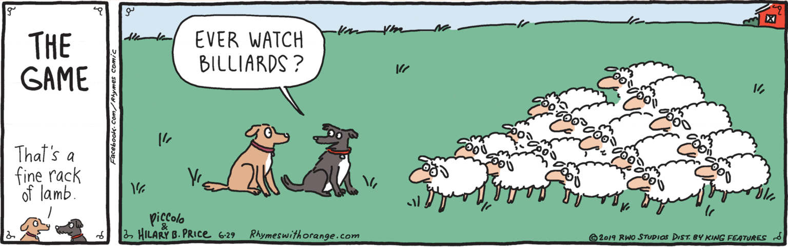Canidae OCR: THE GAME EVER WATCH BILLIARDS ? That's a fine rack of lamb. piccolo 2 HILARY B. PRIce 629 RAymeswith orange.com O2019 Rwo STUpIas DIST. BY KING FEATURES THE GAME EVER WATCH BILLIARDS ? That's a fine rack of lamb. piccolo 2 HILARY B. PRIce 629 RAymeswith orange.com O2019 Rwo STUpIas DIST. BY KING FEATURES