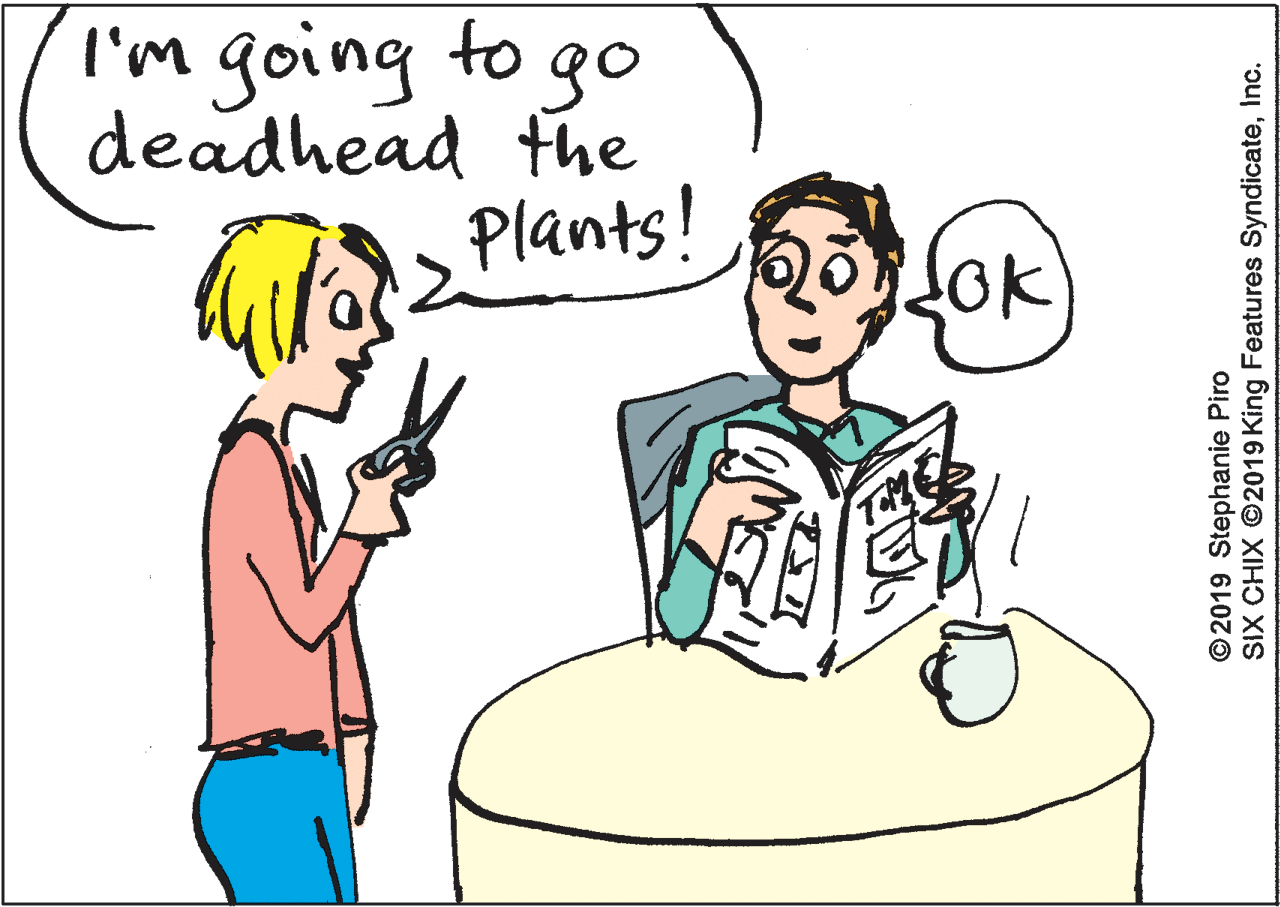 Pleased OCR: I'm going to go deadhead the Plants! OK ©2019 Stephanie Piro SIX CHIX ©2019 King Features SyndicateInc. I'm going to go deadhead the Plants! OK ©2019 Stephanie Piro SIX CHIX ©2019 King Features Syndicate