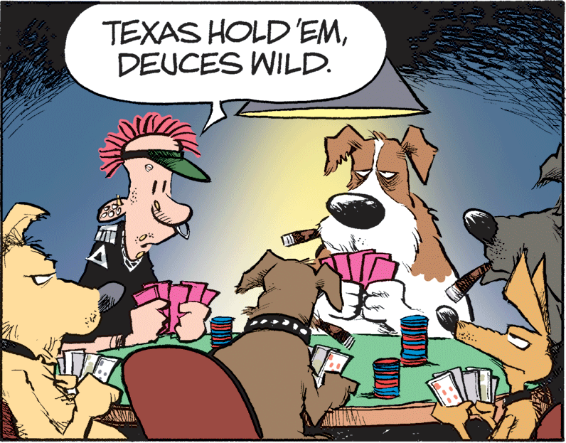 Companion dog OCR: TEXAS HOLD 'EMDEUCES WILD. TEXAS HOLD 'EMDEUCES WILD.