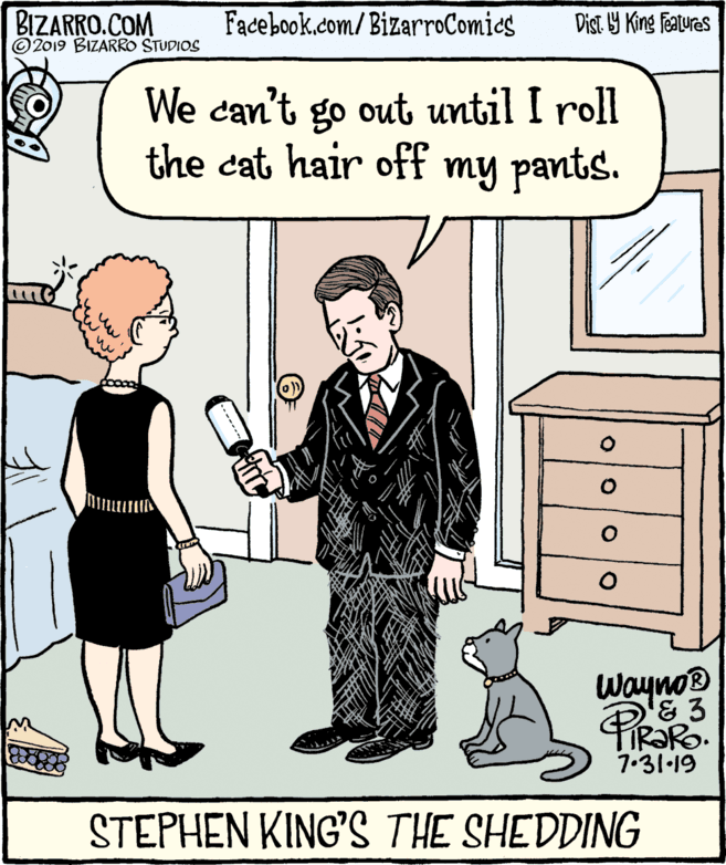 Illustration OCR: BIZARRO.COM © 2019 BIZARRO STUDIOS Facebook.com/ BizarroComics Dist Y King Fatures We can't go out until I roll the cat hair off my pants. Wayno® '&3 7.31·19 STEPHEN KING'SS THE SHEDDING O oo O BIZARRO.COM © 2019 BIZARRO STUDIOS Facebook.com/ BizarroComics Dist Y King Fatures We can't go out until I roll the cat hair off my pants. Wayno® '&3 7.31·19 STEPHEN KING'SS THE SHEDDING O oo O
