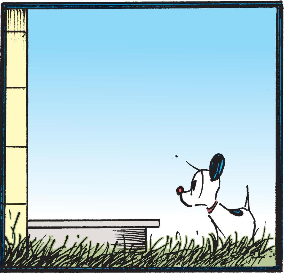 Mutts - Part 2 - 2019-07-08