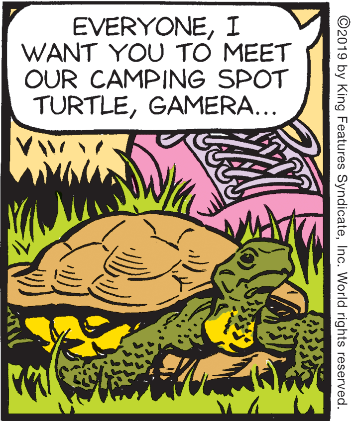 Parallel OCR: EVERYONEI WANT YOU TO MEET OUR CAMPING SPOT TURTLEGAMERA... ©2019 by King Features SyndicateInc. World rights reserved. EVERYONEI WANT YOU TO MEET OUR CAMPING SPOT TURTLEGAMERA... ©2019 by King Features SyndicateInc. World rights reserved.