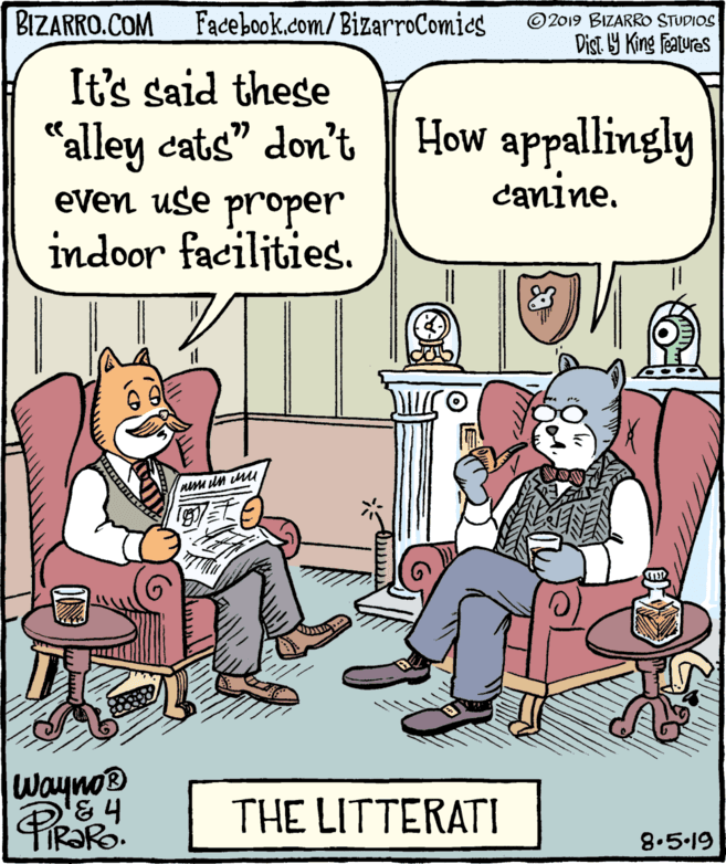 Rectangle OCR: BIZARRO.COM Facebook.com/BizarroComies ©2019 BIZARRO STUDIOS Dist. Y King Features It's said these "alley cats" don't How appallingly even use proper indoor facilities. canine. Wayno® THE LITTERATI 8.5.19 BIZARRO.COM Facebook.com/BizarroComies ©2019 BIZARRO STUDIOS Dist. Y King Features It's said these "alley cats" don't How appallingly even use proper indoor facilities. canine. Wayno® THE LITTERATI 8.5.19