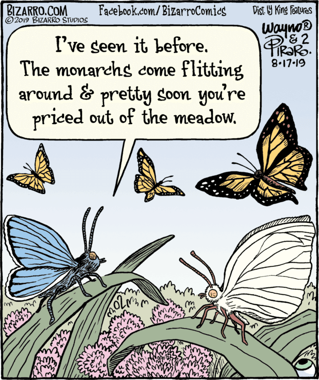 Wing OCR: BIZARRO.COM © 2019 BIZARRO STUDIOS Facebook.com/BizarroComics Dist Y King Fatures Wayno® '&2 PIRORS. I've seen it before. The monarchs come flitting around & pretty soon you're priced out of the meadow. 8.17-19 BIZARRO.COM © 2019 BIZARRO STUDIOS Facebook.com/BizarroComics Dist Y King Fatures Wayno® '&2 PIRORS. I've seen it before. The monarchs come flitting around & pretty soon you're priced out of the meadow. 8.17-19