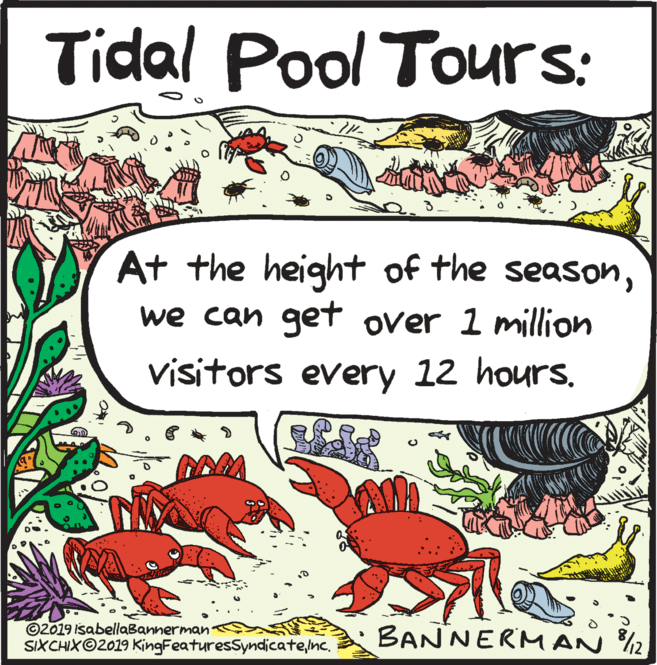Crustacean OCR: Tidal Pool Tours: At the height of the seasonwe can get over 1 million visitors every 12 hours. ©2019 isabellaBannerman SIXCHIX©2019 KingFeaturesSyndicateInc. BANNERMAN %2 Tidal Pool Tours: At the height of the seasonwe can get over 1 million visitors every 12 hours. ©2019 isabellaBannerman SIXCHIX©2019 KingFeaturesSyndicateInc. BANNERMAN %2