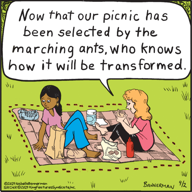 Pleased OCR: Now that our picnic has been selected by the marching antswho knows how it will be transformed. ©2019 IsabellaBannerman SIXCHIX©2019 KingFeaturesSyndicateinc. BANNERMAN T2 9/2 Now that our picnic has been selected by the marching antswho knows how it will be transformed. ©2019 IsabellaBannerman SIXCHIX©2019 KingFeaturesSyndicateinc. BANNERMAN T2 9/2