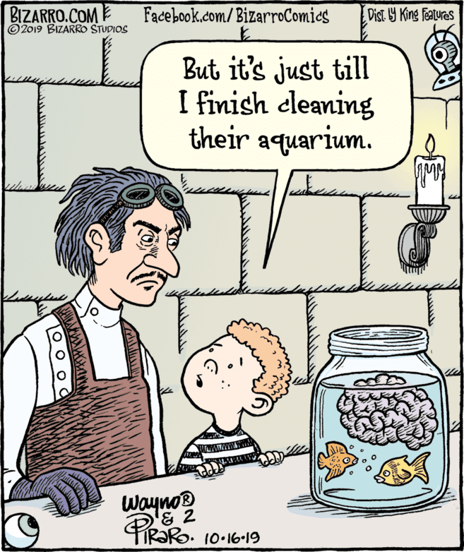 Fiction OCR: BIZARRO.COM E © 2019 BIZARRO STUDIOS Facebook.com/ BizarroComics Dist Y King Features But it's just till I finish eleaning their aquarium. Wayno® PR?RO. 10-16-19 BIZARRO.COM E © 2019 BIZARRO STUDIOS Facebook.com/ BizarroComics Dist Y King Features But it's just till I finish eleaning their aquarium. Wayno® PR?RO. 10-16-19