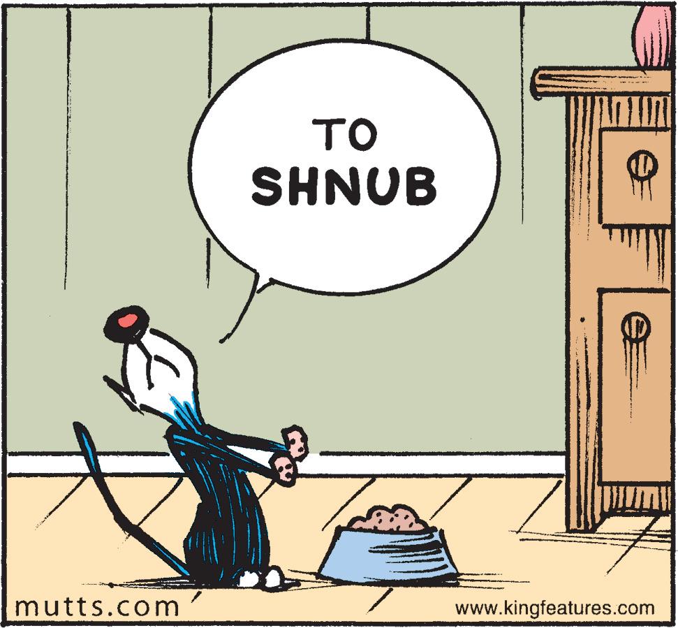 Font OCR: ?? SHNUB mutts.com www.kingfeatures.com ?? SHNUB mutts.com www.kingfeatures.com