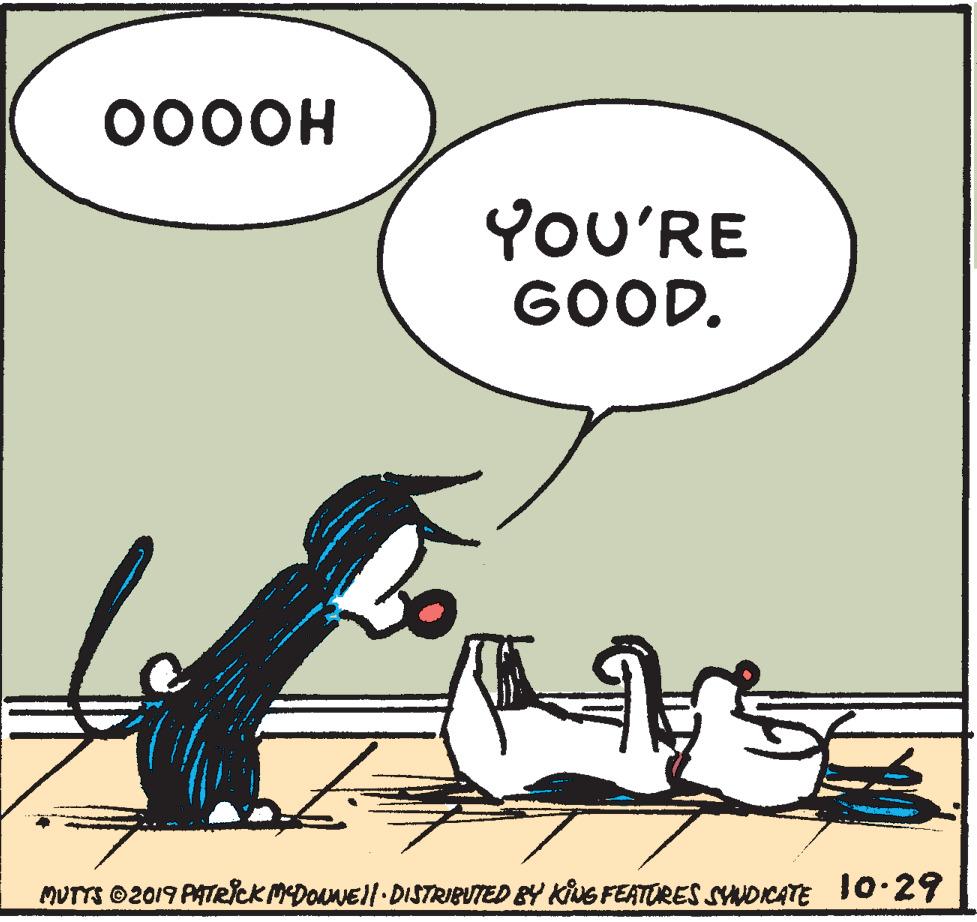 Rectangle OCR: 000OH YOU'RE GOOD. MUTTS O2019 PATRICK MEDONNE)l-DISTRIBUTED BY KiNG FEATORES SYNDICATE Jo-29 000OH YOU'RE GOOD. MUTTS O2019 PATRICK MEDONNE)l-DISTRIBUTED BY KiNG FEATORES SYNDICATE Jo-29