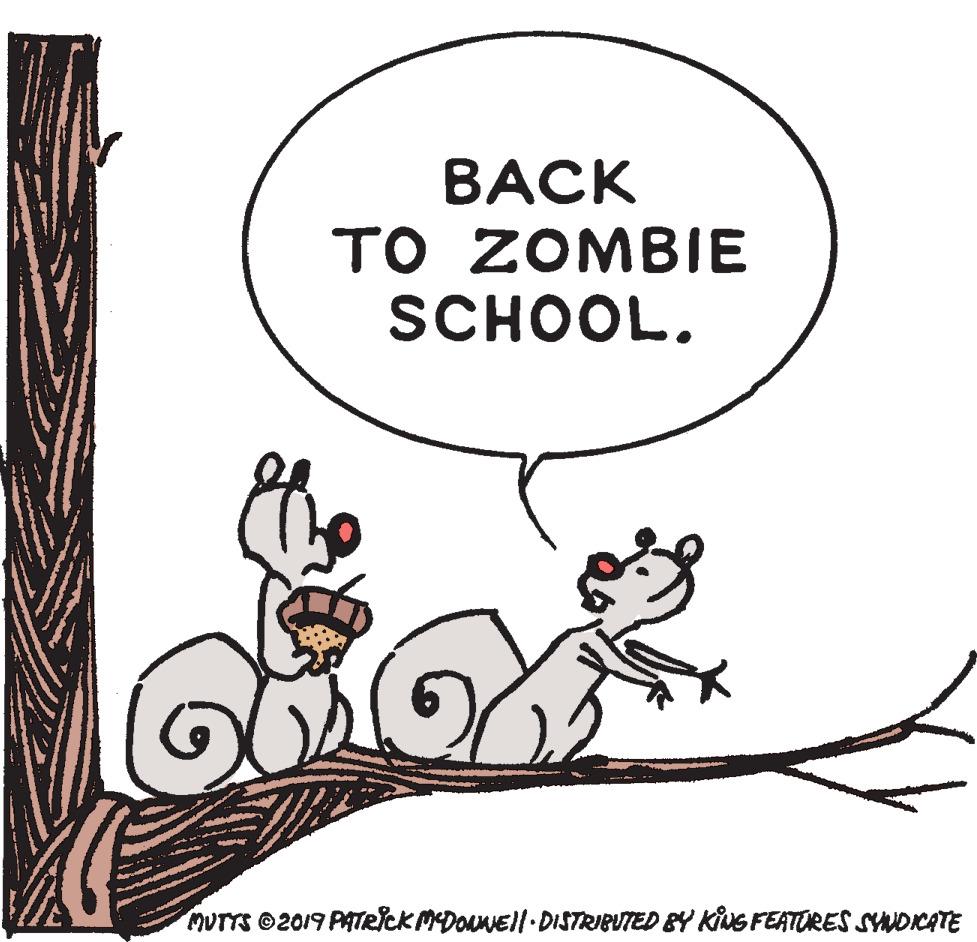 Font OCR: ??CK ?O ZOMBIE SCHOOL. MUTTS ©2019 PATRICK MDouNEll-DISTRIBUTED BY KiNeS FEATORES SYNDICATE ??CK ?O ZOMBIE SCHOOL. MUTTS ©2019 PATRICK MDouNEll-DISTRIBUTED BY KiNeS FEATORES SYNDICATE