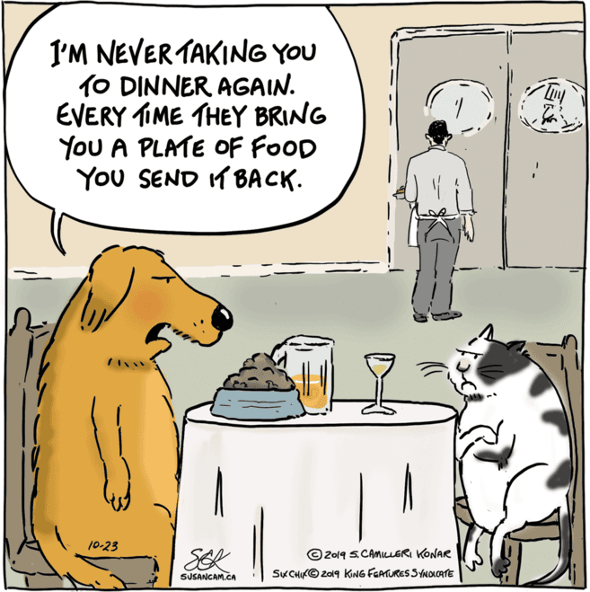 Conversation OCR: I'M NEVER TAKING YOU TO DINNER AGAIN. EVERY TIME THEY BRING YoU A PLATE OF FOOD You SEND IT BA CK. 10:23 SEK © 2019 S.CAMIcLERI KONAR SUSANGAM.CA SK CHUK© 2019 KING FEATURES SYNDLATE I'M NEVER TAKING YOU TO DINNER AGAIN. EVERY TIME THEY BRING YoU A PLATE OF FOOD You SEND IT BA CK. 10:23 SEK © 2019 S.CAMIcLERI KONAR SUSANGAM.CA SK CHUK© 2019 KING FEATURES SYNDLATE
