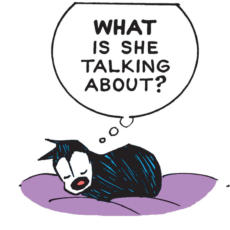 Tail OCR: WHAT IS SHE TALKING ABOUT? WHAT IS SHE TALKING ABOUT?
