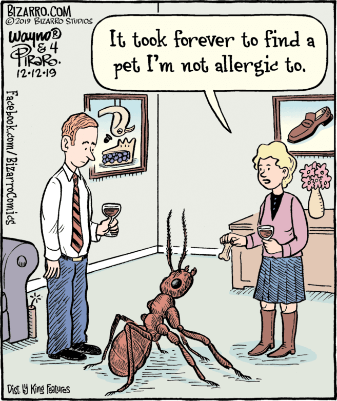 Gesture OCR: BIZARRO.COM © 2019 BIZARRO STUDIOS Wayno® '&4 It took forever to find a pet I'm not allergie to. 12.12-19 Dist. Y King Features Facebook.com/ BizarroComics BIZARRO.COM © 2019 BIZARRO STUDIOS Wayno® '&4 It took forever to find a pet I'm not allergie to. 12.12-19 Dist. Y King Features Facebook.com/ BizarroComics