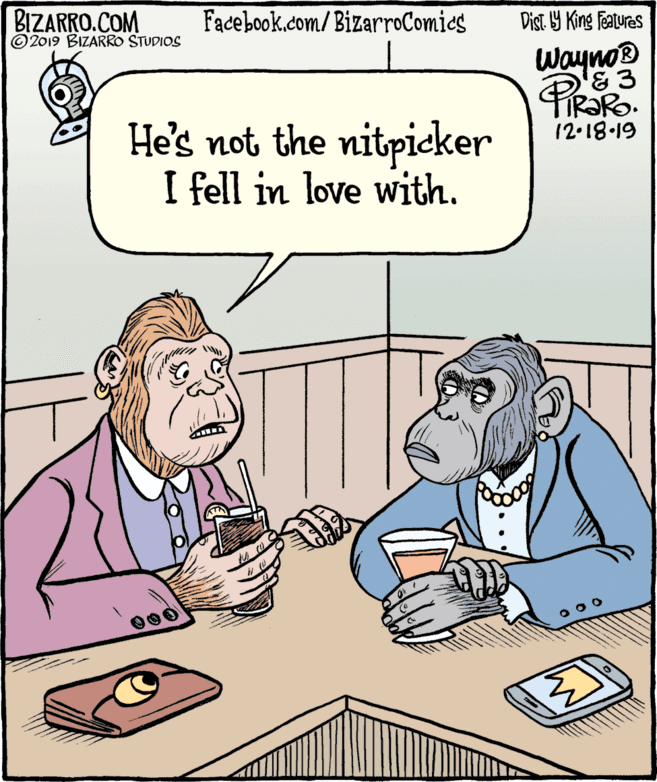 Pleased OCR: BIZARRO.COM © 2019 BIZARRO STUDIOS Facebook.com/BizarroComies Dist Y King Features Wayno® He's not the nitpicker I fell in love with. 12·18-19 0 0o BIZARRO.COM © 2019 BIZARRO STUDIOS Facebook.com/BizarroComies Dist Y King Features Wayno® He's not the nitpicker I fell in love with. 12·18-19 0 0o