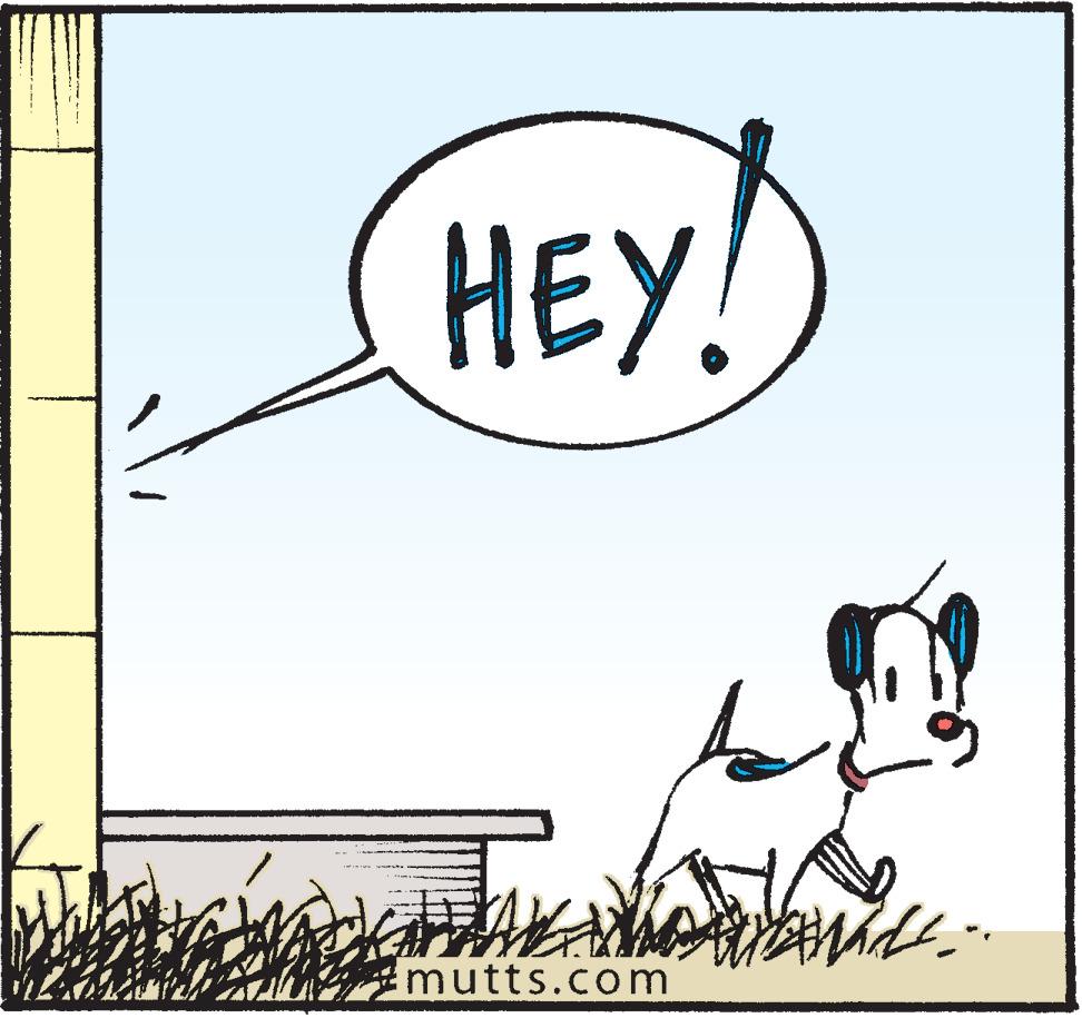 Illustration OCR: HEY! mutts.com - A? HEY! mutts.com - A ?