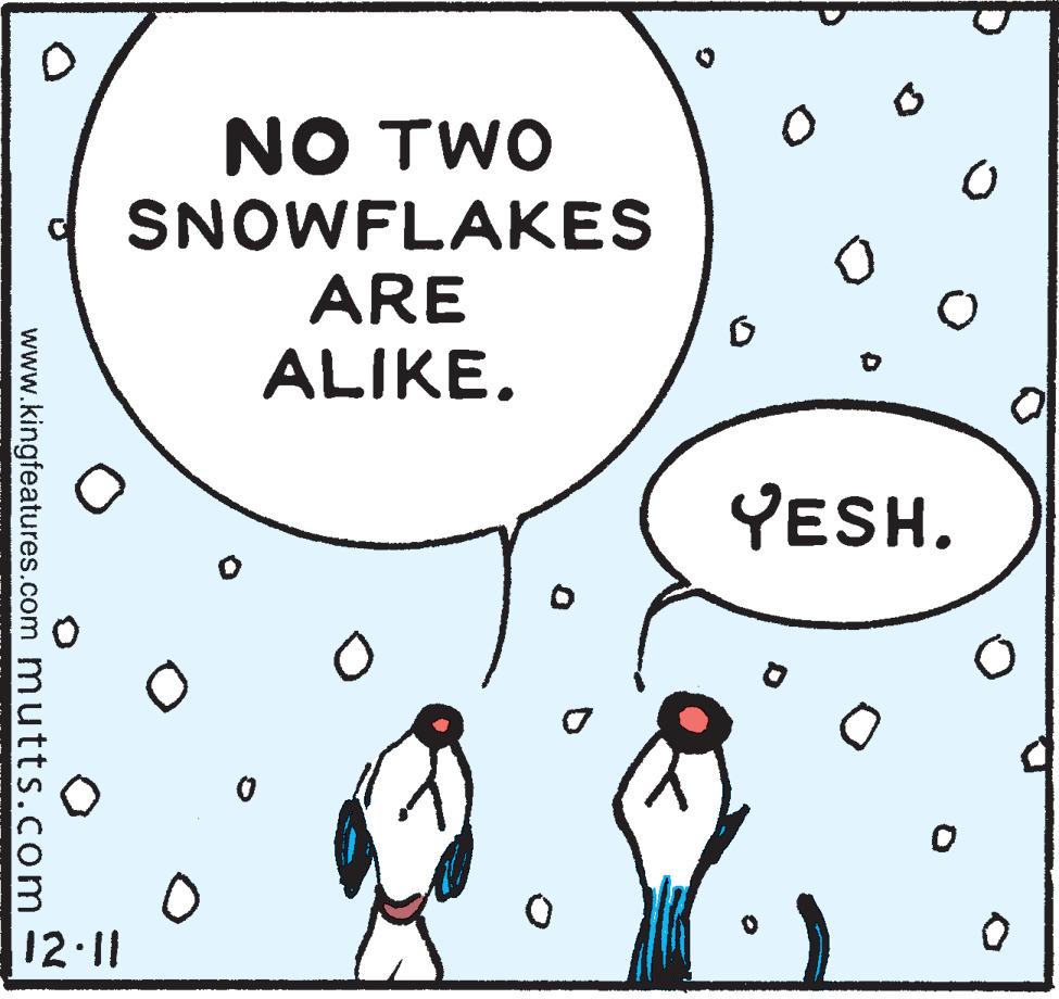 Line OCR: NO TWO SNOWFLAKES ARE ALIKE. YESH. 12 11 www.kingfeatures.com mutts.com NO TWO SNOWFLAKES ARE ALIKE. YESH. 12 11 www.kingfeatures.com mutts.com