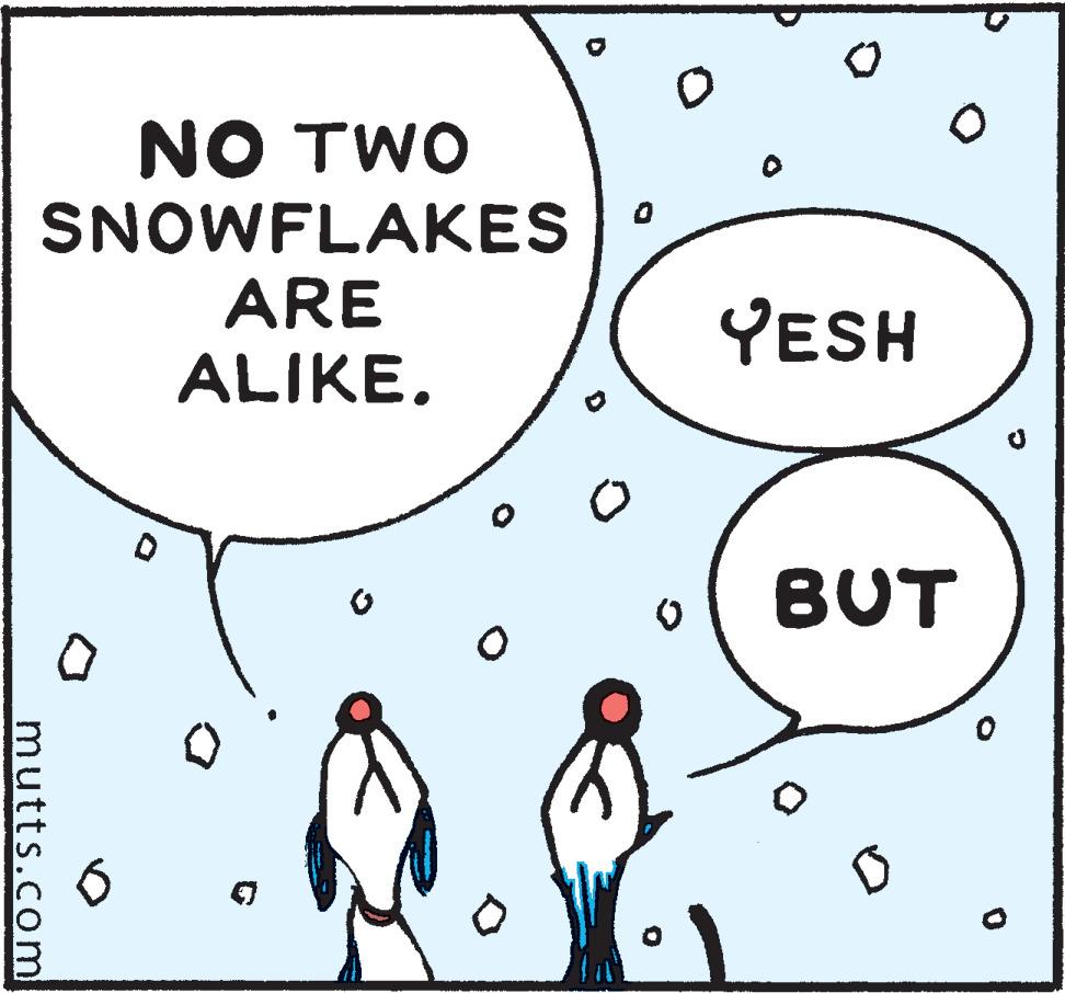 Line OCR: NO TWO SNOWFLAKES ARE ALIKE. YESH BUT mutts.com NO TWO SNOWFLAKES ARE ALIKE. YESH BUT mutts.com