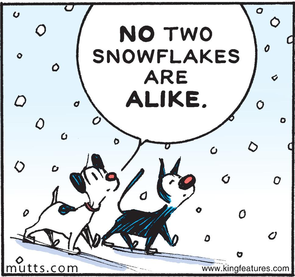 Art OCR: NO TWO SNOWFLAKES ARE ALIKEmutts.com www.kingfeatures.com NO TWO SNOWFLAKES ARE ALIKEmutts.com www.kingfeatures.com