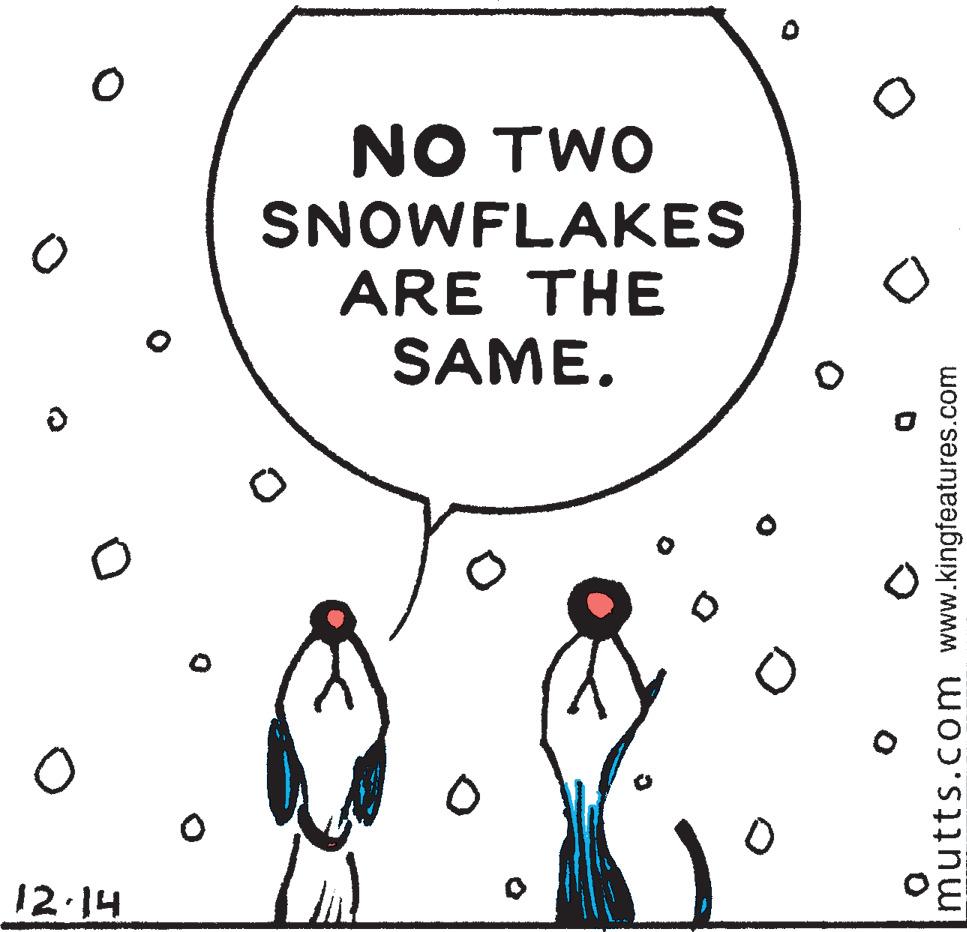 People in nature OCR: NO TWO SNOWFLAKES ARE THE SAME. 12 14 mutts.com www.kingfeatures.com NO TWO SNOWFLAKES ARE THE SAME. 12 14 mutts.com www.kingfeatures.com