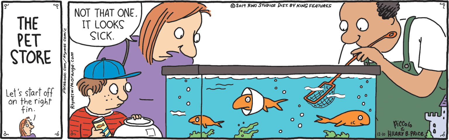 Happy OCR: ©2019 RWo STUDIOS DIST. BY KING FEATURES NOT THAT ONE. IT LOOKS SICK. THE PET STORE Let's start off on the right fin. Piccolo 12-1o HILARY B. PRIce ©2019 RWo STUDIOS DIST. BY KING FEATURES NOT THAT ONE. IT LOOKS SICK. THE PET STORE Let's start off on the right fin. Piccolo 12-1o HILARY B. PRIce