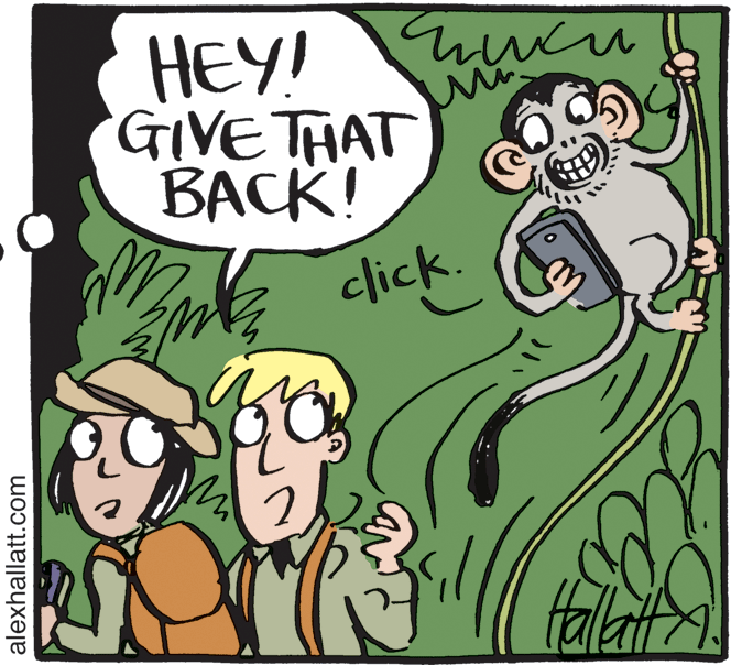 Comic book OCR: HEY! hucu GIVETHAT ???K! click. falatt alexhallatt.com HEY! hucu GIVETHAT ???K! click. falatt alexhallatt.com