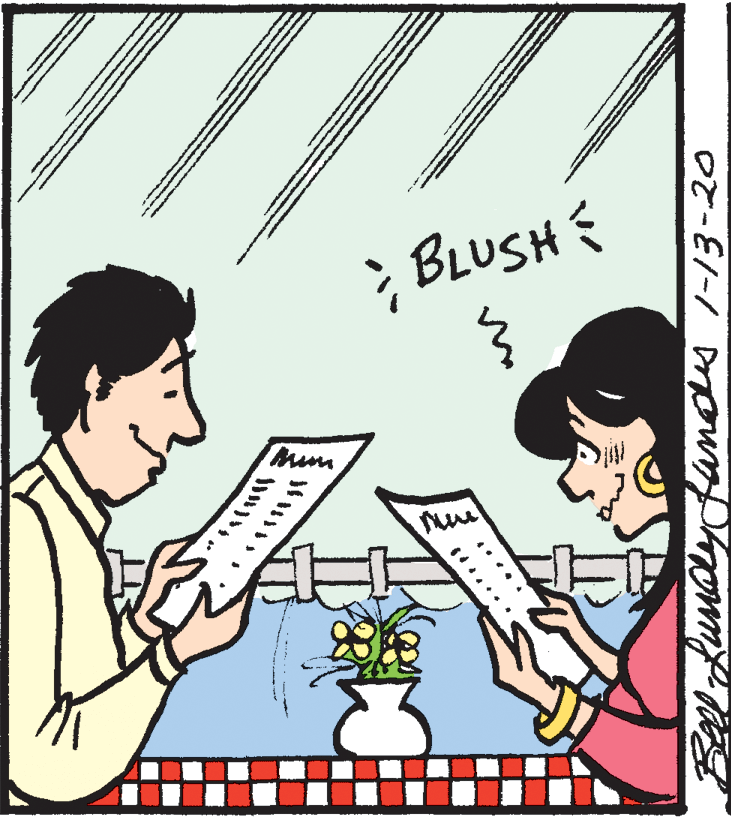 Line OCR: ; BLUSH yoytanads 1-13-20 ; BLUSH yoytanads 1-13-20
