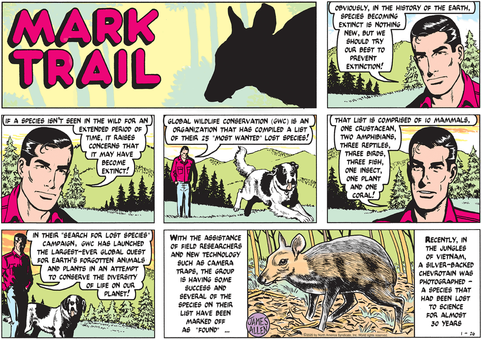 Font OCR: MARK TRAIL OBVIOUSLYSPECIES BECOMING EXTINCT IS NOTHING NEWBUT WE SHOULD TRY OUR BEST TO PREVENT EXTINCTION! THAT LIST IS COMPRISED OF 10 MAMMALSONE PLANT A AND ONE CORAL! (IF A SPECIES ISN'T SEEN IN THE WILD FOR AN GLOBAL WILDLIFE CONSERVATION (GWC) IS AN ORGANIZATION THAT HAS COMPILED A LIST OF THEIR 25 "MOST WANTED" LOST SPECIES! EXTENDED PERIOD OF TIMEIT RAISES CONCERNS THAT IT MAY HAVE BECOME EXTINCT! IN THEIR "SEARCH FOR LOST SPECIES" CAMPAIGNGWC HAS LAUNCHED THE LARGEST-EVER GLOBAL QUEST FOR EARTH'S FORGOTTEN ANIMALS AND PLANTS IN AN ATTEMPT TO CONSERVE THE DIVERSITY OF LIFE ON OUR PLANET! WITH THE ASSISTANCE OF FIELD RESEARCHERS AND NEW TECHNOLOGY SUCH AS CAMERA TRAPSTHE GROUP IS HAVING SOME SUCCESS AND SEVERAL OF THE SPECIES ON THEIR LIST HAVE BEEN MARKED OFF AS "FOUND" .. RECENTLYIN THE JUNGLES OF VIETNAMA SILVER-BACKED CHEVROTAIN WAS PHOTOGRAPHED - A SPECIES THAT HAD BEEN LOST TO SCIENCE FOR ALMOST 30 YEARS JAMES ALLEN .S2020 ty North America SyndcateInc. World rigms e |- 26 MARK TRAIL OBVIOUSLYIN THE HISTORY OF THE EARTHSPECIES BECOMING EXTINCT IS NOTHING NEWBUT WE SHOULD TRY OUR BEST TO PREVENT EXTINCTION! THAT LIST IS COMPRISED OF 10 MAMMALSONE CRUSTACEANTWO AMPHIBIANSTHREE REPTILESTHREE BIRDSTHREE FISHONE INSECTONE PLANT A AND ONE CORAL! (IF A SPECIES ISN'T SEEN IN THE WILD FOR AN GLOBAL WILDLIFE CONSERVATION (GWC) IS AN ORGANIZATION THAT HAS COMPILED A LIST OF THEIR 25 "MOST WANTED" LOST SPECIES! EXTENDED PERIOD OF TIMEIT RAISES CONCERNS THAT IT MAY HAVE BECOME EXTINCT! IN THEIR "SEARCH FOR LOST SPECIES" CAMPAIGNGWC HAS LAUNCHED THE LARGEST-EVER GLOBAL QUEST FOR EARTH'S FORGOTTEN ANIMALS AND PLANTS IN AN ATTEMPT TO CONSERVE THE DIVERSITY OF LIFE ON OUR PLANET! WITH THE ASSISTANCE OF FIELD RESEARCHERS AND NEW TECHNOLOGY SUCH AS CAMERA TRAPSTHE GROUP IS HAVING SOME SUCCESS AND SEVERAL OF THE SPECIES ON THEIR LIST HAVE BEEN MARKED OFF AS "FOUND" .. RECENTLYIN THE JUNGLES OF VIETNAMA SILVER-BACKED CHEVROTAIN WAS PHOTOGRAPHED - A SPECIES THAT HAD BEEN LOST TO SCIENCE FOR ALMOST 30 YEARS JAMES ALLEN .S2020 ty North America SyndcateInc. World rigms e |- 26