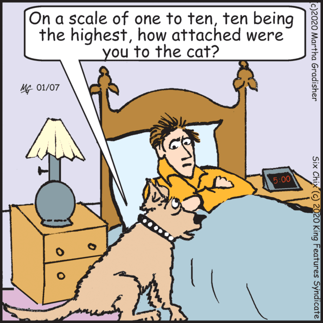 Lamp OCR: On a scale of one to tenten being the highesthow attached were you to the cat? MG 01/07 5:00 c)2020 Martha Gradisher Six Chix (c) 2020 King Features Syndicate On a scale of one to tenten being the highesthow attached were you to the cat? MG 01/07 5:00 c)2020 Martha Gradisher Six Chix (c) 2020 King Features Syndicate