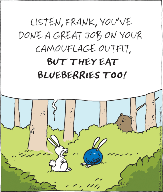 Font OCR: LISTENYOU'VE DONE A GREAT JOB ON YOUR CAMOUFLAGE OUTFITBUT THEY EAT BLUEBERRIES TOO! Nika tn O2020 NIKLAS ERIKSSON/BULLSINC. LISTENYOU'VE DONE A GREAT JOB ON YOUR CAMOUFLAGE OUTFITBUT THEY EAT BLUEBERRIES TOO! Nika tn O2020 NIKLAS ERIKSSON/BULLSDIST. BY KING FEATURES SYMDICATE