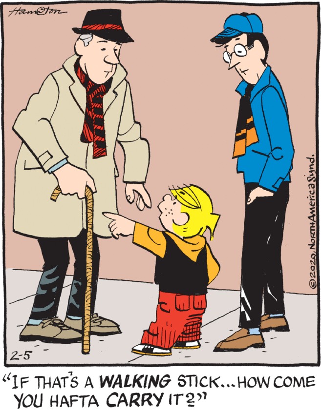 Illustration OCR: Hameton 2-5 "IF THAT'S A WALKING STICK...HOW COME YOU HAFTA CARRY IT2" 2020NoRTHAmercaSynd. Hameton 2-5 "IF THAT'S A WALKING STICK...HOW COME YOU HAFTA CARRY IT2" 2020