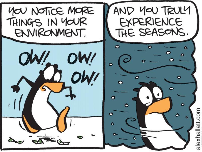 Flightless bird OCR: yoU NOTICE MORE THINGS IN YOUR ENVIRONMENTAND YOU TRULY EXPERIENCE THE SEASONSaW OW! OW! alexhallatt.com yoU NOTICE MORE THINGS IN YOUR ENVIRONMENTAND YOU TRULY EXPERIENCE THE SEASONSaW OW! OW! alexhallatt.com