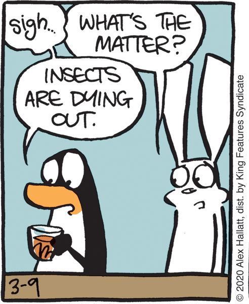 Humour OCR: sigh. WHAT'S THE MATTER? INSECTS ARE DMING OUT. 3-9 © 2020 Alex Hallattdist. by King Features Syndicate sigh. WHAT'S THE MATTER? INSECTS ARE DMING OUT. 3-9 © 2020 Alex Hallattdist. by King Features Syndicate