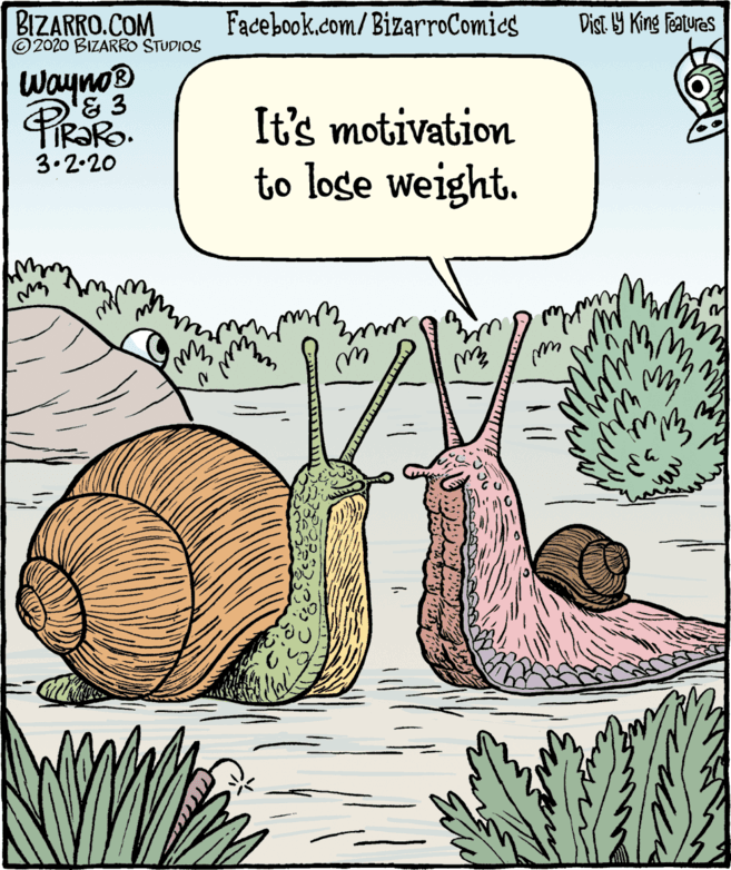 Adaptation OCR: BIZARRO.COM © 2020 BIZARRO STUDIOS Facebook.com/BizarroComies Dist Y King Features Wayno '& 3 TIR?RO. It's motivation to lose weight. 3.2.20 BIZARRO.COM © 2020 BIZARRO STUDIOS Facebook.com/BizarroComies Dist Y King Features Wayno '& 3 TIR?RO. It's motivation to lose weight. 3.2.20