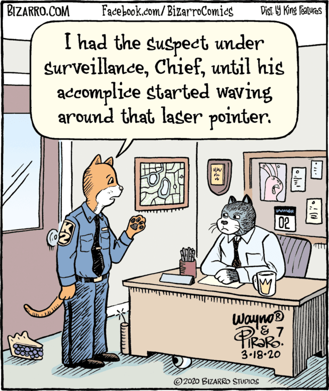 Rectangle OCR: BIZARRO.COM Facebook.com/ BizarroComics Dist Y King Fatures I had the suspect under Surveillanceuntil his accomplice started waving around that laser pointer. 02 WaynoB 3.18•20 © 2020 BIZARRO STUDIOS BIZARRO.COM Facebook.com/ BizarroComics Dist Y King Fatures I had the suspect under Surveillanceuntil his accomplice started waving around that laser pointer. 02 WaynoB 3.18•20 © 2020 BIZARRO STUDIOS