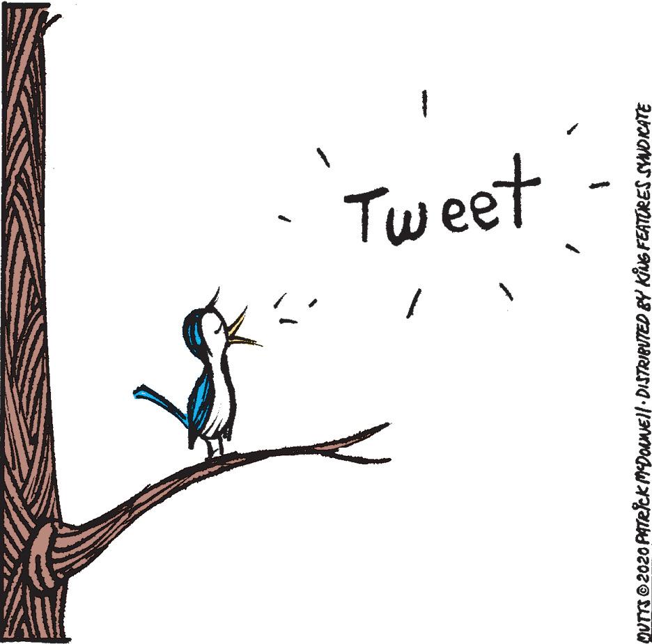 Fictional character OCR: Tweet MUTS O2020 PATRICK MDoNEll-DISTRIBUTED BY KiuG FEATORES SYOKATE Tweet MUTS O2020 PATRICK MDoNEll-DISTRIBUTED BY KiuG FEATORES SYOKATE