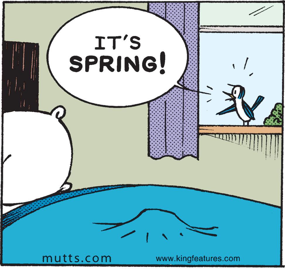 Art OCR: IT'S SPRING! mutts.com www.kingfeatures.com IT'S SPRING! mutts.com www.kingfeatures.com