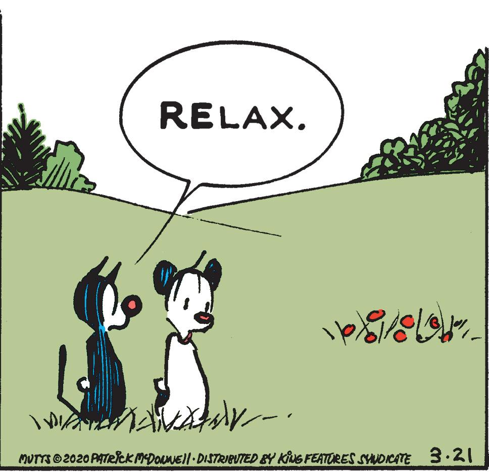 Tail OCR: RELAX. MUTTS 2020 PATRICK MDOuNEll DISTRIBUTED BY KING FEATORES SYNDKCATE 3.21 RELAX. MUTTS 2020 PATRICK MDOuNEll DISTRIBUTED BY KING FEATORES SYNDKCATE 3.21