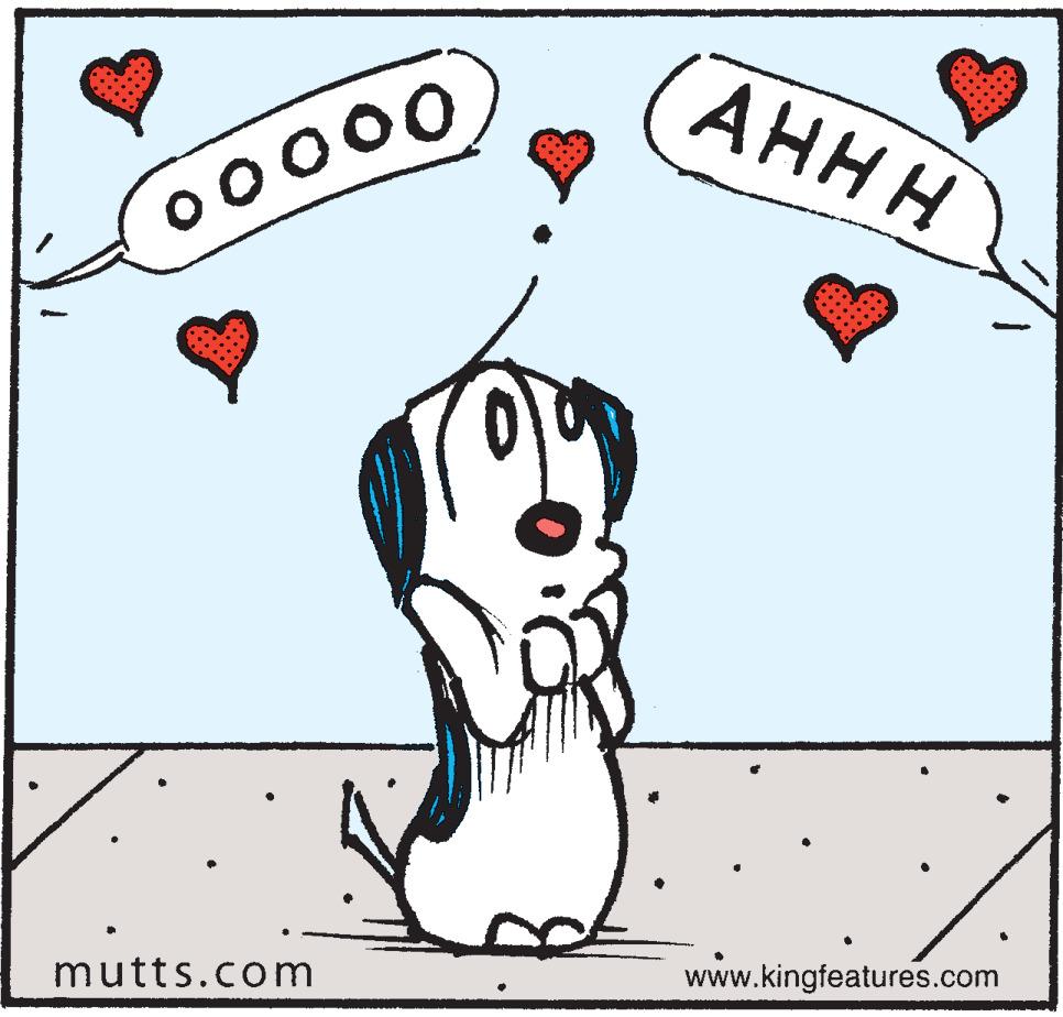 Fictional character OCR: ???? www.kingfeatures.com mutts.com ???? www.kingfeatures.com mutts.com