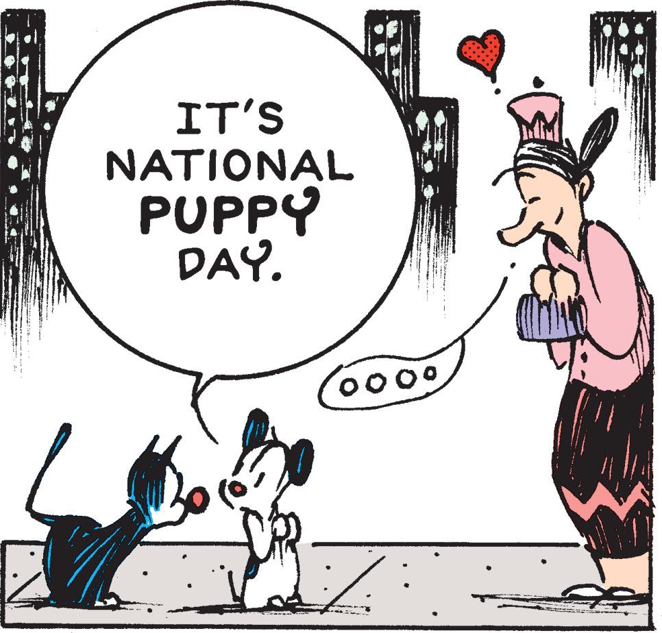 Art OCR: IT'S NATIONAL PUPPY DAY. IT'S NATIONAL PUPPY DAY.