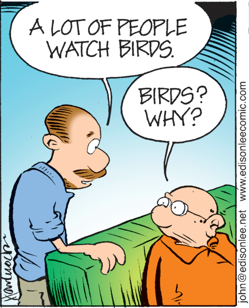 Interaction OCR: A LOT OF PEOPLE WATCH BIRDS. BIRDS? WHY? john@edisonlee.net www.edisonleecomic.com A LOT OF PEOPLE WATCH BIRDS. BIRDS? WHY? john@edisonlee.net www.edisonleecomic.com