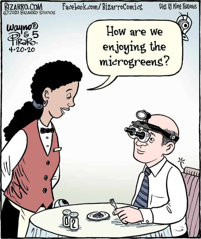Product OCR: BIZARRO.COM © 2020 BIZARRO STUDIOS Facebook.com/BizarroComics Dist Y King Features Wayno® '& 5 How are We enjoying the mierogreens? 4.20-20 BIZARRO.COM © 2020 BIZARRO STUDIOS Facebook.com/BizarroComics Dist Y King Features Wayno® '& 5 How are We enjoying the mierogreens? 4.20-20