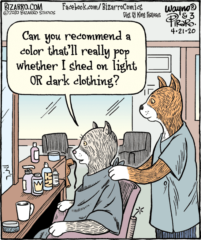 People OCR: BIZARRO.COM © 2020 BIZARRO STUDIOS Facebook.com/BizarroComics Dist Y King features Wayno® 4.21.20 you recommend color that'll really pop whether I shed on light OR dark elothing? ?an a BIZARRO.COM © 2020 BIZARRO STUDIOS Facebook.com/BizarroComics Dist Y King features Wayno® 4.21.20 you recommend color that'll really pop whether I shed on light OR dark elothing? ?an a