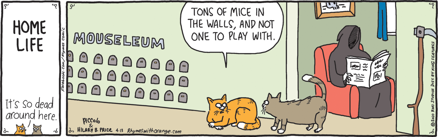 Carnivore OCR: ???? LIFE TONS OF MICE IN THE WALLSAND NOT ONE TO PLAY WITH. MOUSELEUM It's so dead around here. piccolo 2HILARY B. PRIce 4-13 Rhymeswitharange.com Facebook-Com ???? LIFE TONS OF MICE IN THE WALLSAND NOT ONE TO PLAY WITH. MOUSELEUM It's so dead around here. piccolo 2HILARY B. PRIce 4-13 Rhymeswitharange.com Facebook-Com